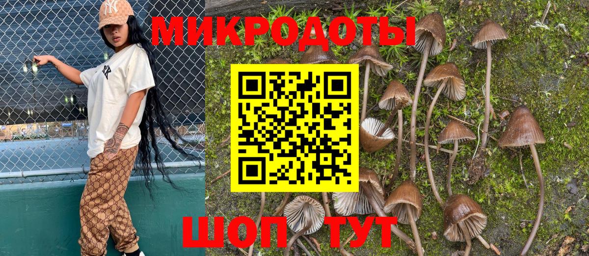Галлюциногенные грибы MAGIC MUSHROOMS  Вход с VPN  цена   Псилоцибиновые грибы мухоморы  Тольятти 
